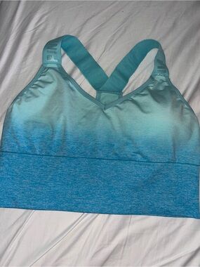 🆕 PINK Victoria's Secret Blue Ombré Sports Bra Sz XL
